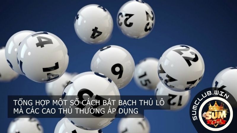 Tổng hợp một số cách bắt bạch thủ lô mà các cao thủ thường áp dụng